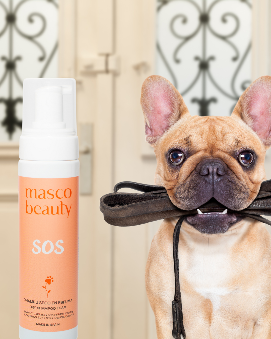 Dry foam shampoo "SOS"