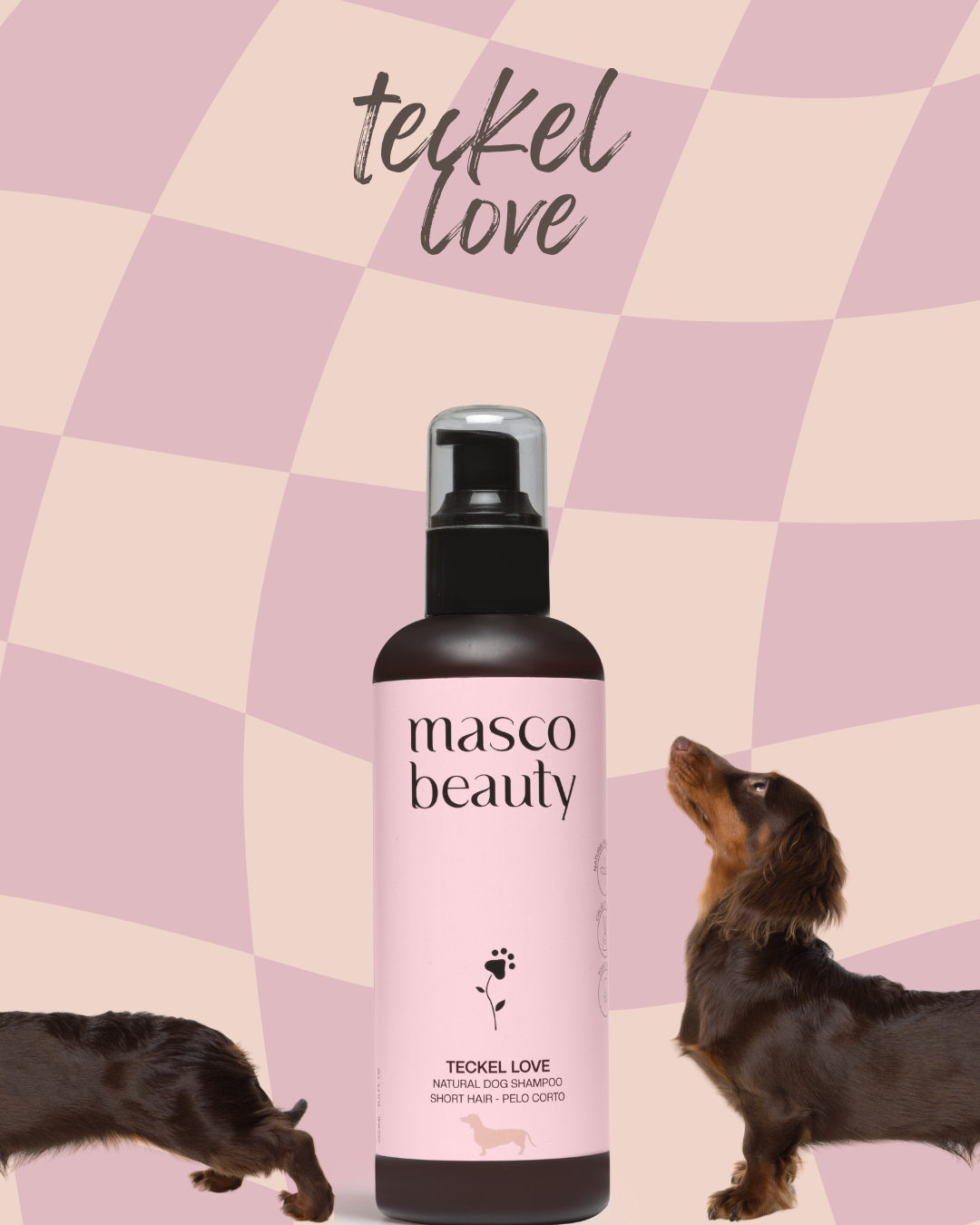 Short hair shampoo "Teckel Love"